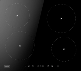 Induktionsfeld Reparatur Leipzig